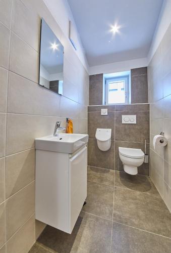 a bathroom with a sink and a toilet at Holiday Penthouse Moosweg in Maishofen