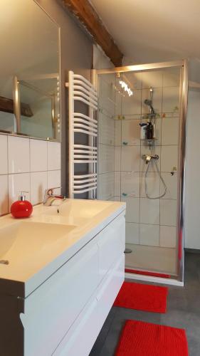 uma casa de banho com um lavatório e um chuveiro em Au calme em Marchin