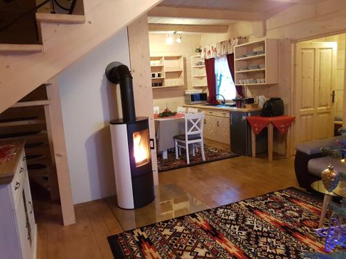 a living room with a wood stove in a room at Domki w Białce pod Basenami, 50 m od term i wyciągów in Białka Tatrzanska