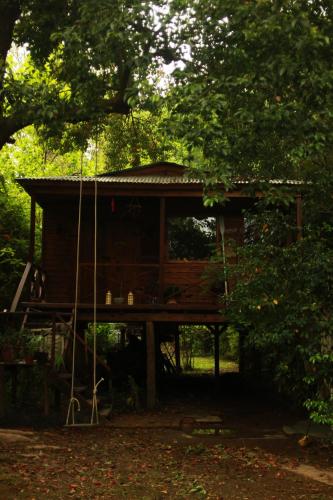a tree house in the middle of a forest at Cabaña Los Alcanfores in Tigre