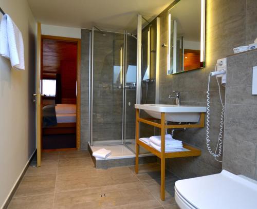 a bathroom with a shower and a sink and a toilet at Genusshotel Hirschen - Erholung im Grünen (Südschwarzwald) in Sallneck