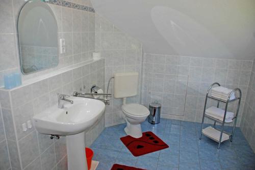 a bathroom with a sink and a toilet and a mirror at Ferienwohnung Schwalbennest in Baabe