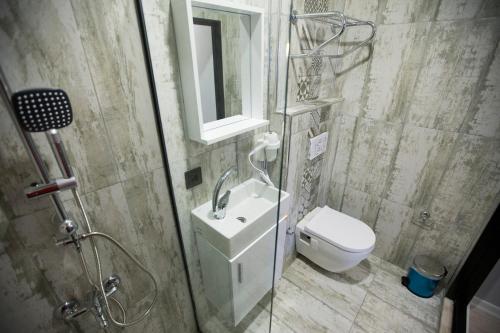 een badkamer met een toilet, een wastafel en een douche bij Double Bond Hotel Spa in Ankara