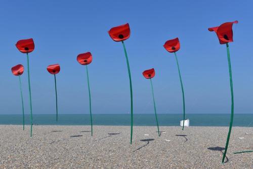 a group of red roses on a beach at LE MADISON, Gîte Atypique - NETFLIX in Dieppe