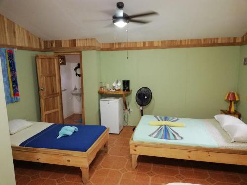 Gallery image of Hotel Don Quichotte in Tortuguero