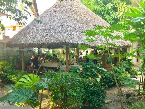 Κήπος έξω από το Hostal Casa Huasteca