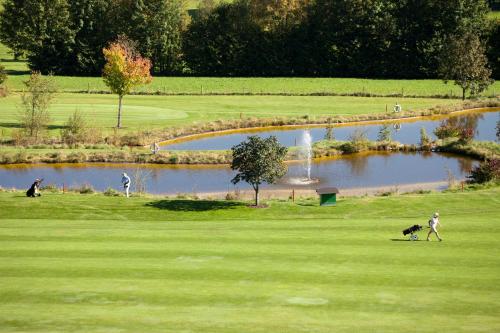 a man and a dog on a golf course with a pond at Hotel Garni Tirol in Walchsee