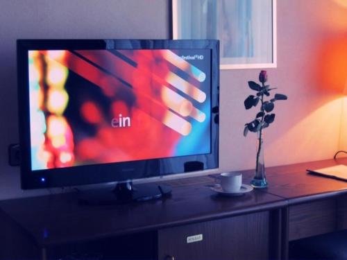 einen TV auf einem Schreibtisch mit einer Vase und einer Blume in der Unterkunft Landhotel Sangermann in Oberveischede