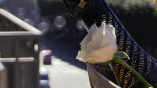 a white rose sitting in a box with at Hotel Etnea Royal Suites in Catania