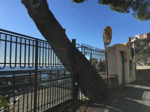 a fence with a tree next to a building at Villa Petit Ludovica in Ravello
