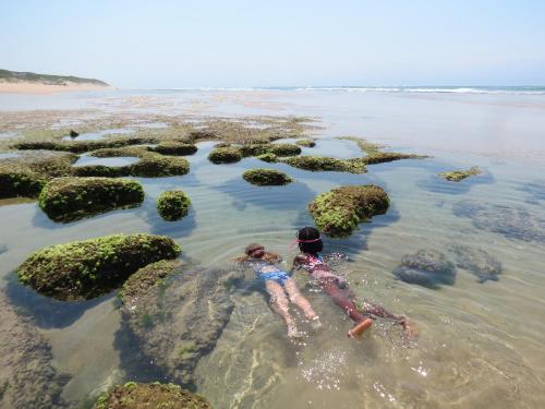 two people swimming in the water on the beach at Naara Eco Lodge & Spa in Chidenguele