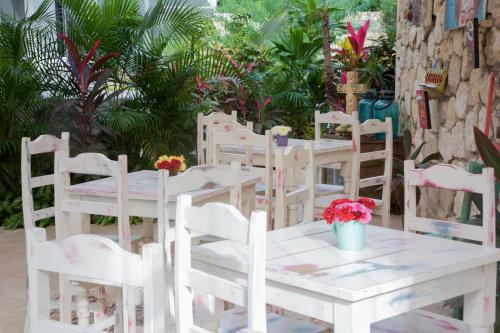 Livetulum en Tulum
