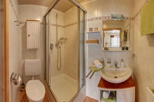 a bathroom with a shower and a sink and a toilet at Ferienwohnungen Haus Martin in Inzell