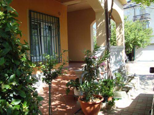 a porch with potted plants on the side of a building at B&B Esperança in Frascineto