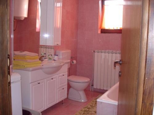 a bathroom with a sink and a toilet and a tub at Brko Apartment in Medulin