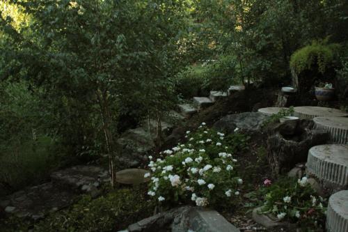 a garden with a bunch of rocks and flowers at Loft del Rio in Cajon del Maipo