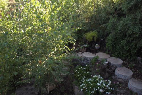 an overhead view of a garden with flowers and trees at Loft del Rio in Cajon del Maipo