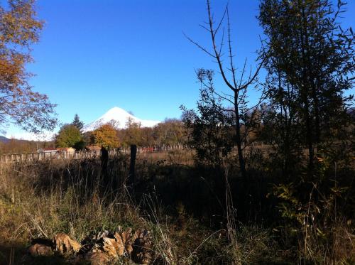 a mountain in the middle of a field with trees at Cabañas Captren Andino in Curacautín