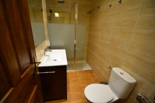 a bathroom with a toilet and a sink and a shower at Casa Rural La Plaza in Valoria la Buena