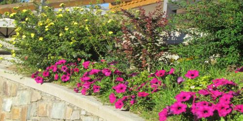 a garden with pink flowers in a stone wall at Hotel Duc De Rohan in Livigno