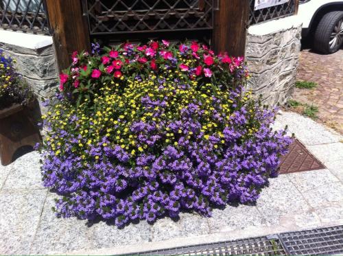 a flower bed of purple and pink flowers on a building at Hotel Gran Baita in Gressoney-Saint-Jean