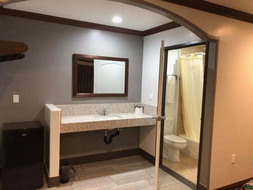 a bathroom with a sink and a toilet and a mirror at Starlight Inn South El Monte in South El Monte