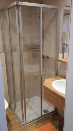 a glass shower in a bathroom with a sink at Wurlerhof in Kals am Großglockner