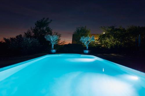 a blue swimming pool at night with two trees at Hotel Garni Schöne Aussichten in Klöch