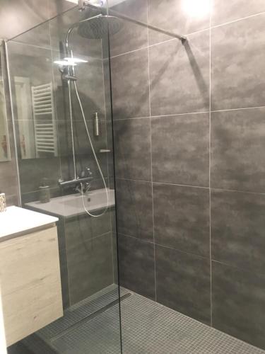a shower with a glass door in a bathroom at Les lofts de Styliste in Brussels