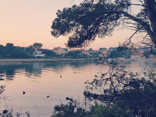 a view of a body of water with houses at Apartmani Villa Dragica in Ugljan