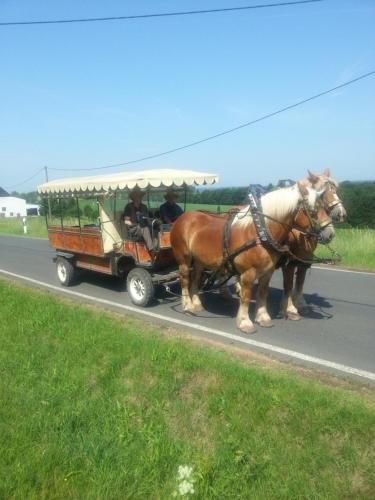 two horses pulling a horse drawn carriage on a road at Herzfennerhof Mobilheim in Auw