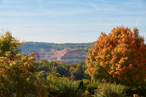 a view of the grand canyon in the fall at Hotel Garni Schöne Aussichten in Klöch