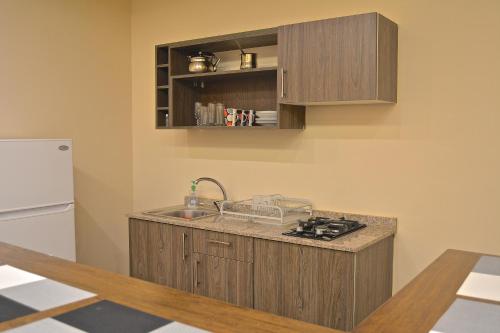 a kitchen with a sink and a refrigerator at Austria Luxury Apartments, Faraya Hotel in Fārayyā