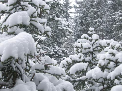 Apart Anna en invierno