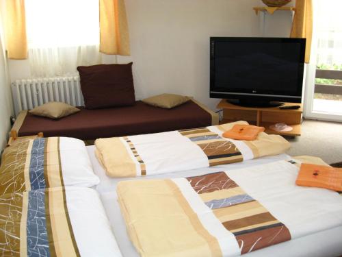 a living room with two beds and a tv at Penzión Slávia in Poprad