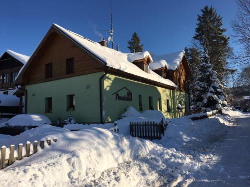 a house is covered in snow with a fence at Penzion 103 in Železná Ruda