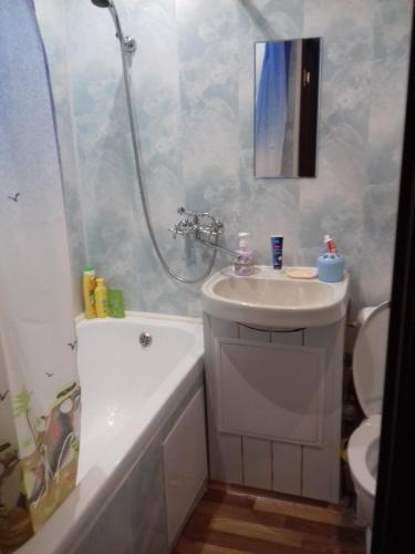 ヴェリーキー・ノヴゴロドにあるTimura Frunze-Olovyanka Apartmentのバスルーム(洗面台、トイレ、シャワー付)