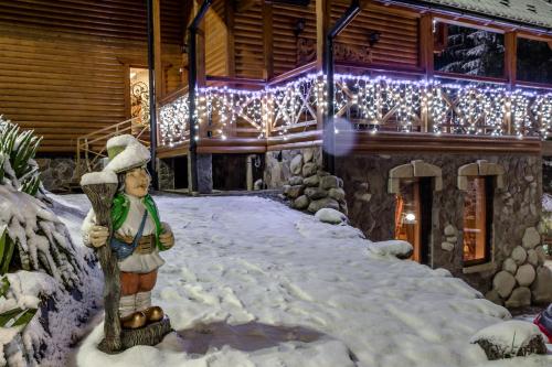 Karpatska Villa – Photos 4