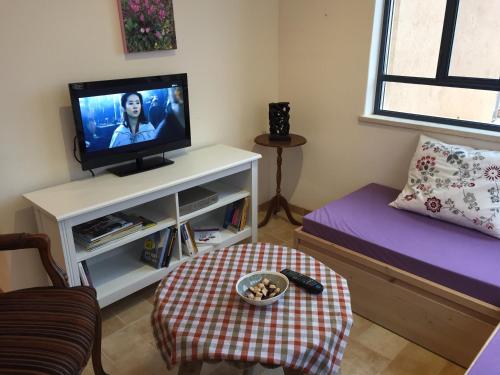 TV a/nebo společenská místnost v ubytování Peace and quiet