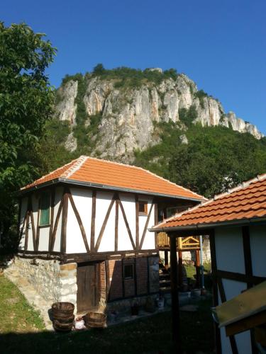 a house with a mountain in the background at Golemi kamik Pirot in Pirot