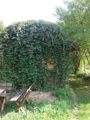 a building covered in ivy with a wooden bench at Golemi kamik Pirot in Pirot