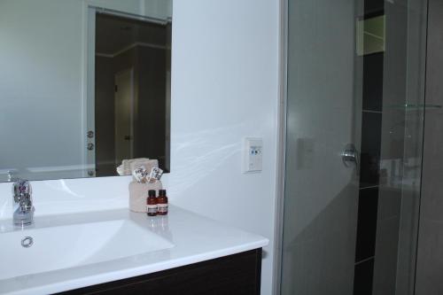 a bathroom with a white sink and a shower at Rose City Motel in Palmerston North