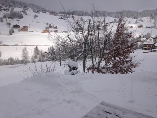 a snow covered yard with a tree in the foreground at La Ferme des Georgières "Séjour en tout compris" in Notre-Dame-de-Bellecombe
