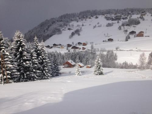 a group of trees in the snow with houses at La Ferme des Georgières "Séjour en tout compris" in Notre-Dame-de-Bellecombe