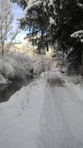 a road covered in snow next to a river at Alpina Inzell 223 in Inzell