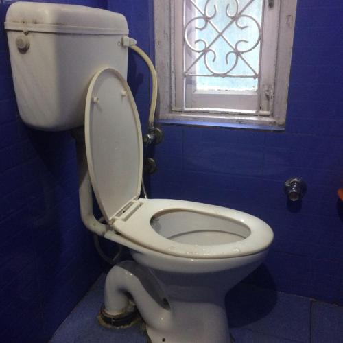 a white toilet in a blue bathroom with a window at Mehdudia Guest House in Shimla