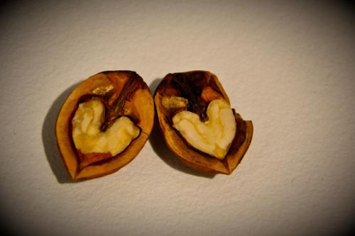 two halves of a passion fruit with two hearts at Casa Gioia in Taranto