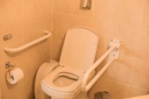 a bathroom with a toilet with a hand rail at Hotel Bicentenario Suites & Spa in San Miguel de Tucumán
