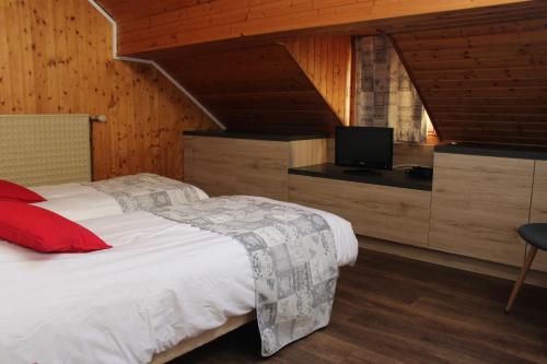 a bedroom with a bed with a tv on a counter at Hotel Restaurant Du Haut Du Roc in Basse-sur-le-Rupt