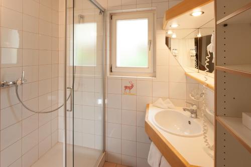 a bathroom with a shower and a sink at Ferienwohnung Hirschen in Grindelwald